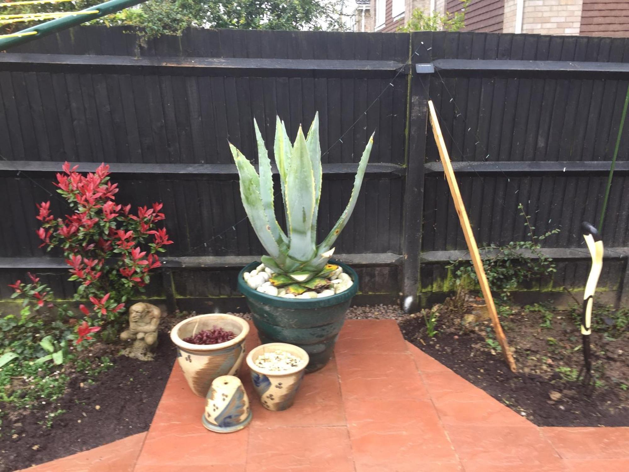 Basingstoke En Suite Room In Garden Annex 外观 照片